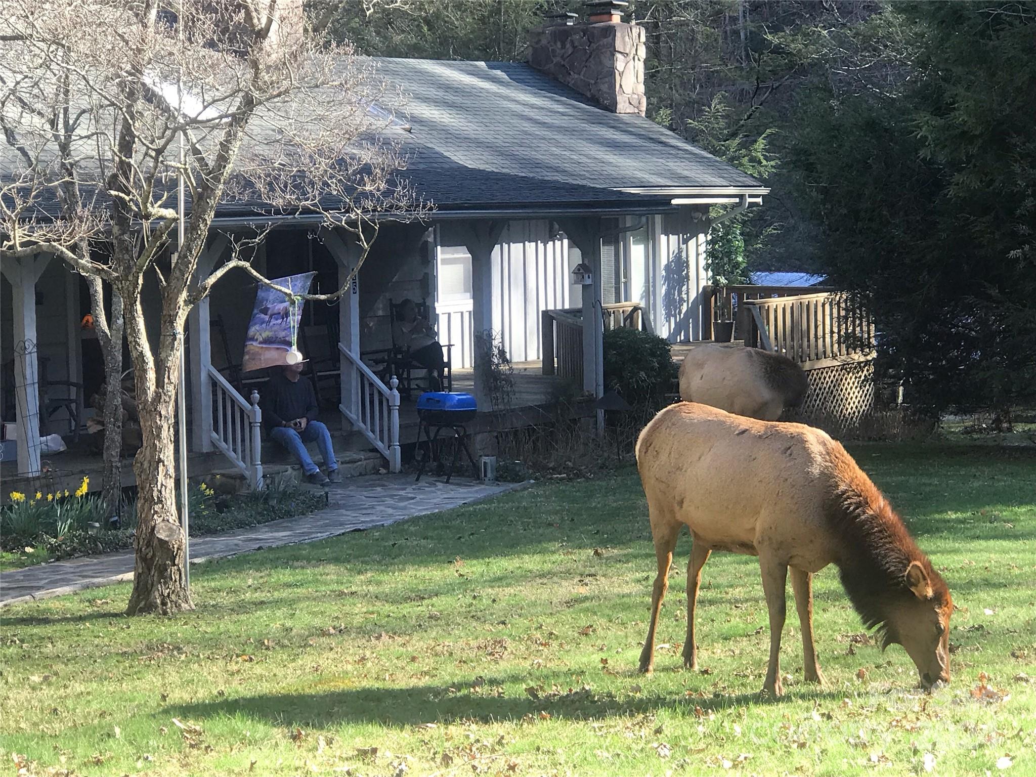 Laurel Branch Estates - Residential