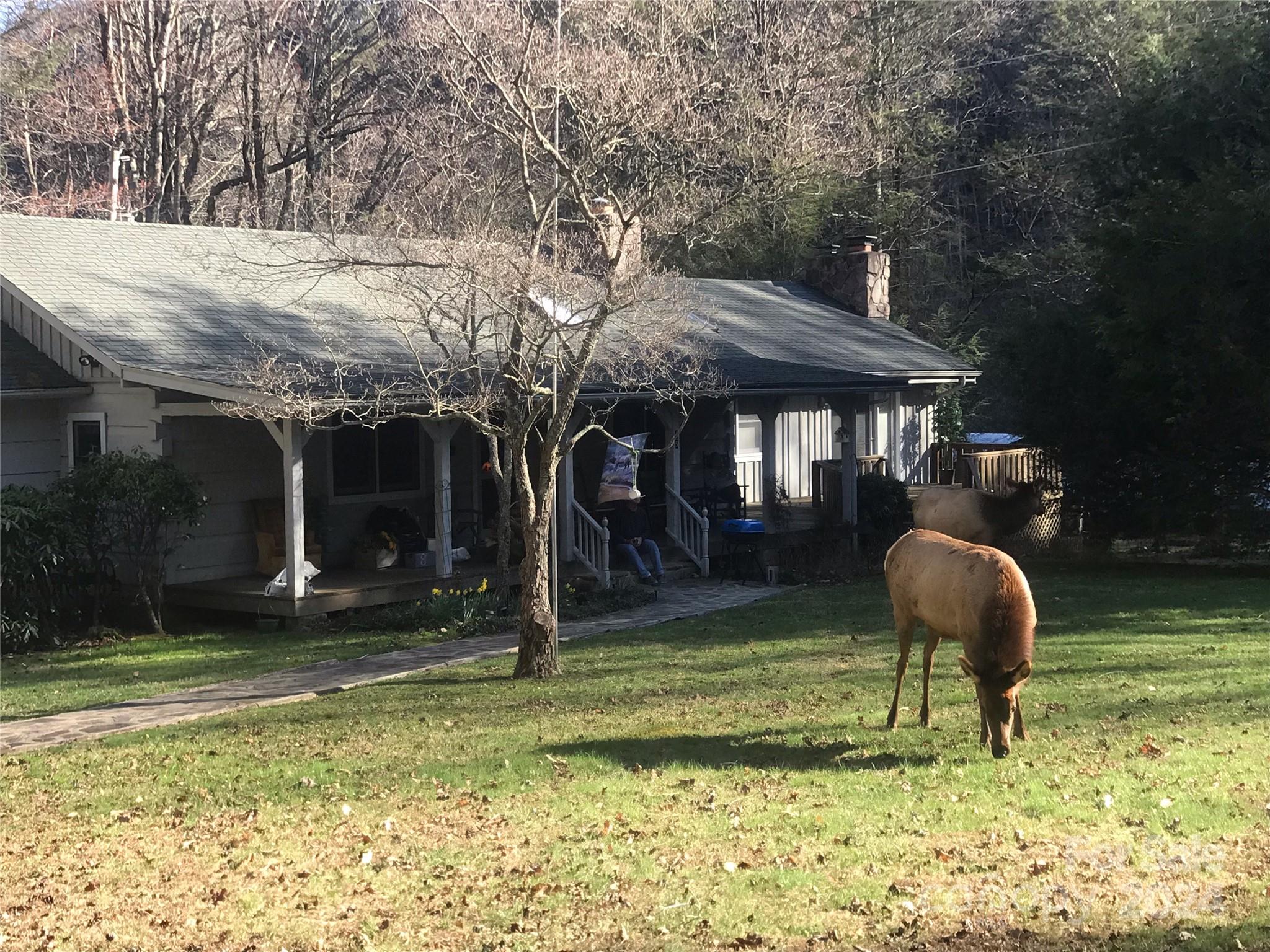 Laurel Branch Estates - Residential