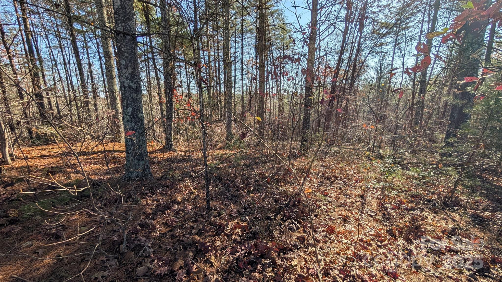 1111 Table View Drive