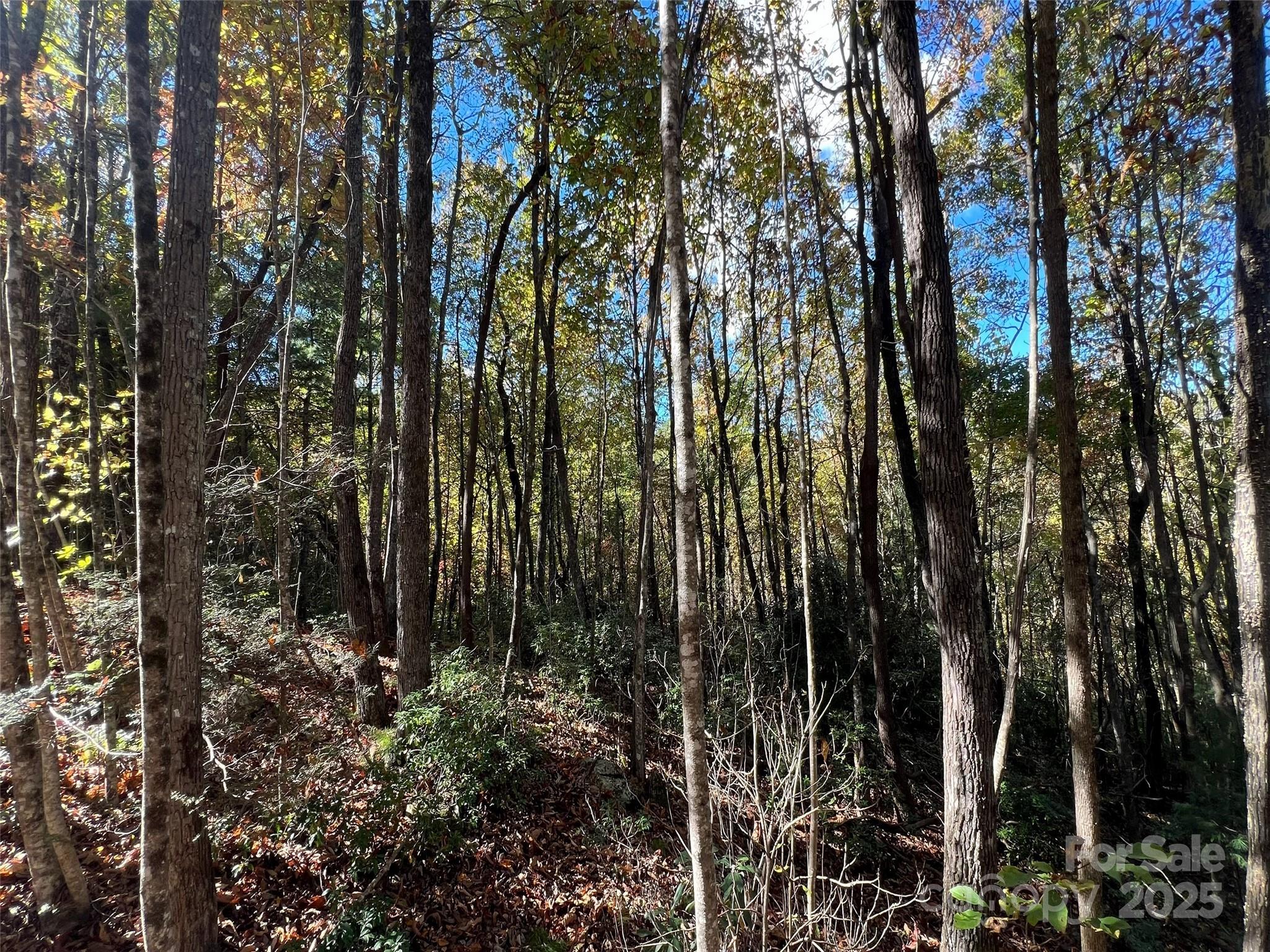 0 Wild Magnolia Way 46