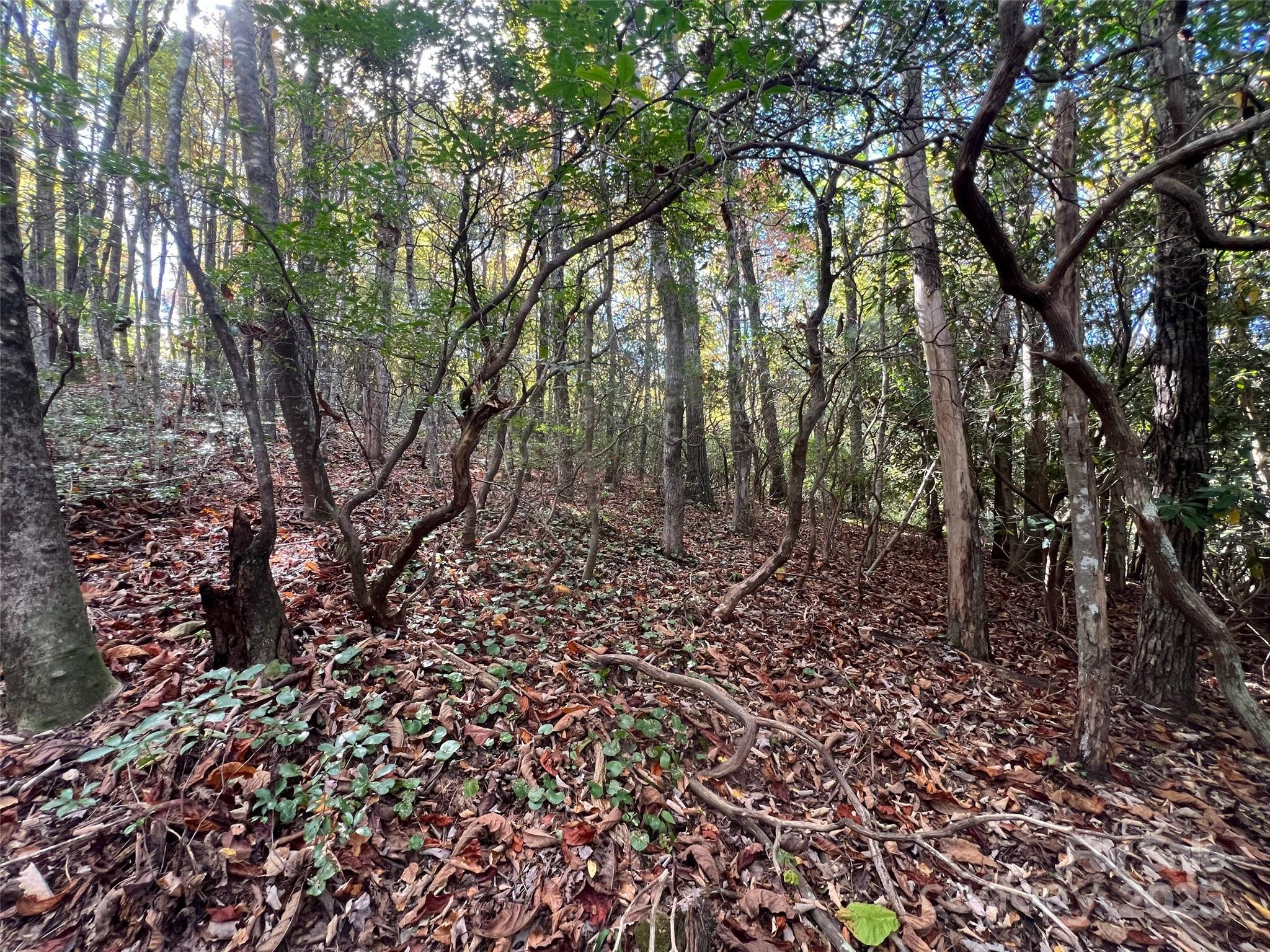 Cliffs Valley North - Land