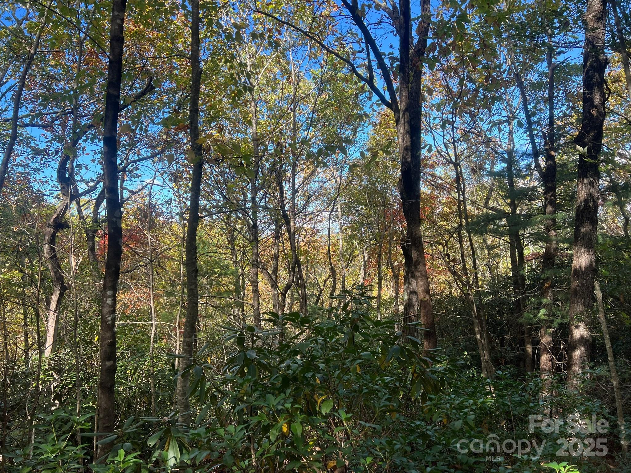 Cliffs Valley North - Land