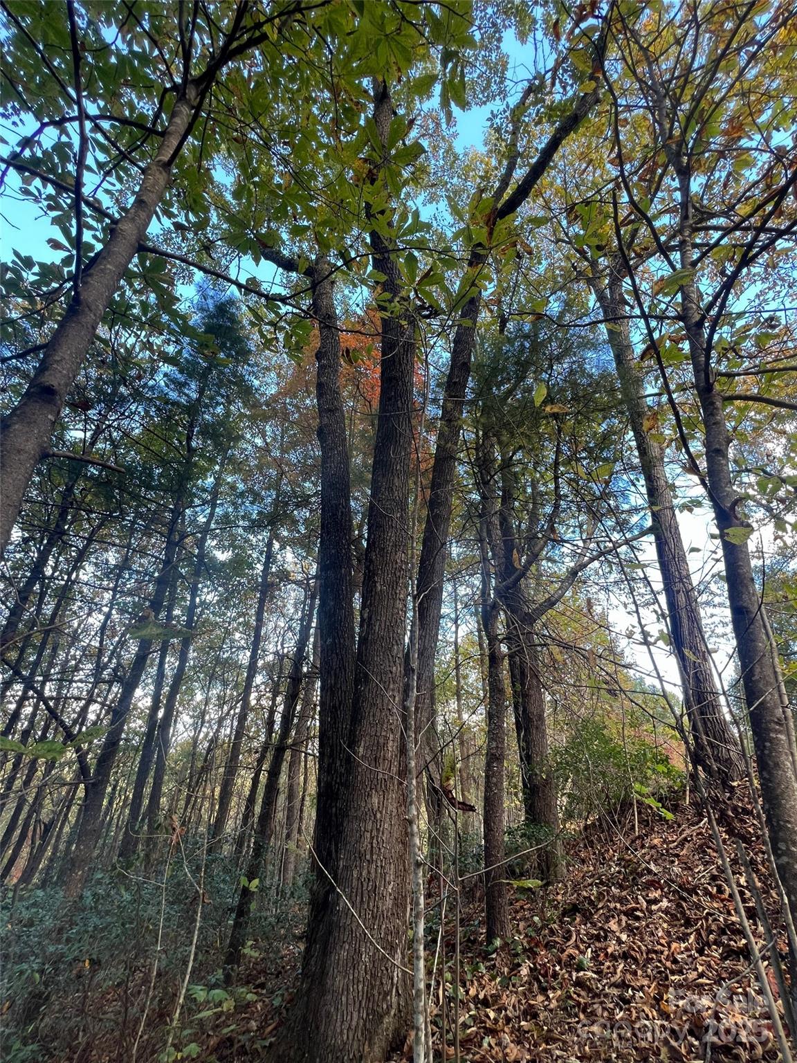 Cliffs Valley North - Land