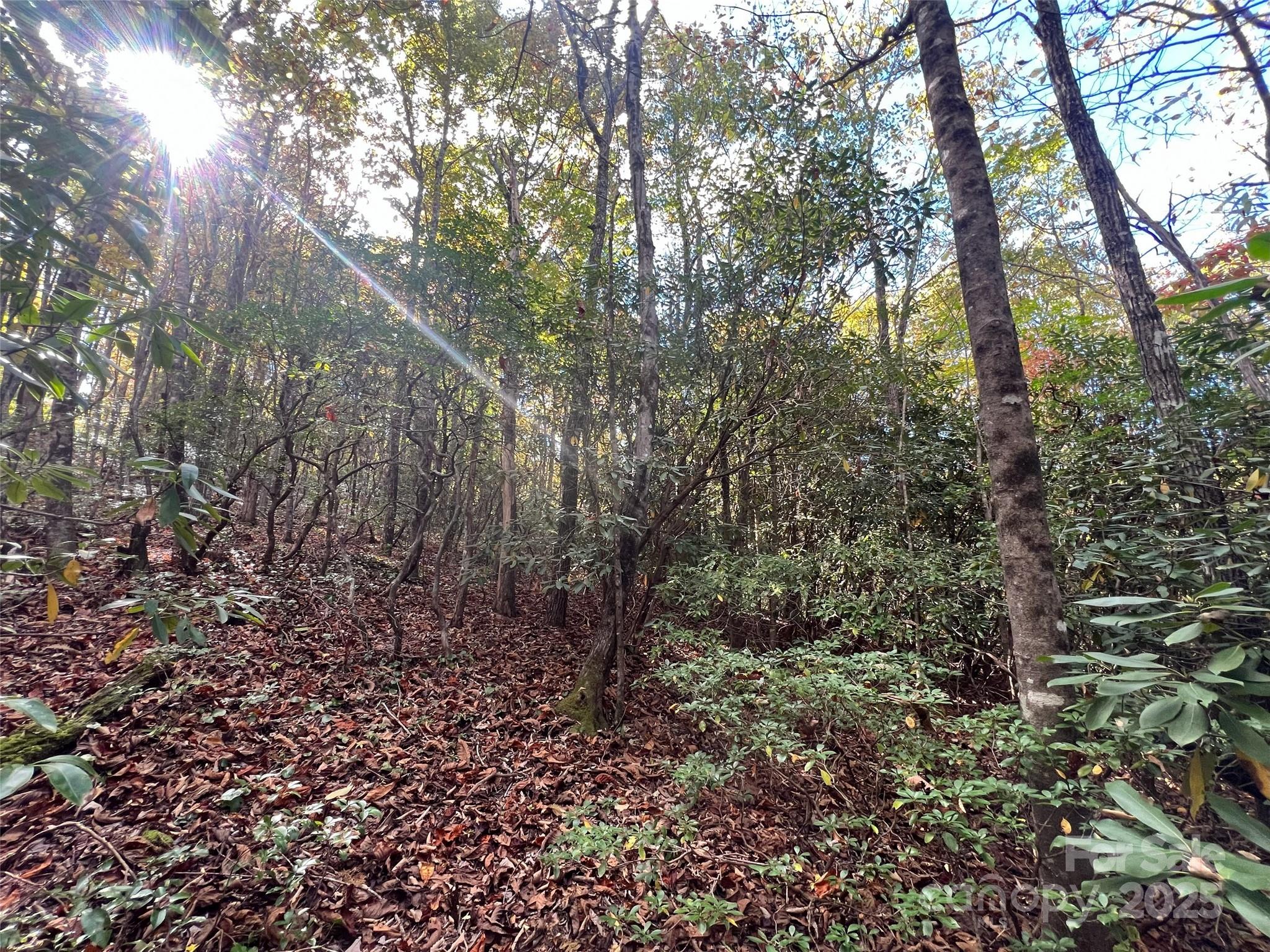 Cliffs Valley North - Land