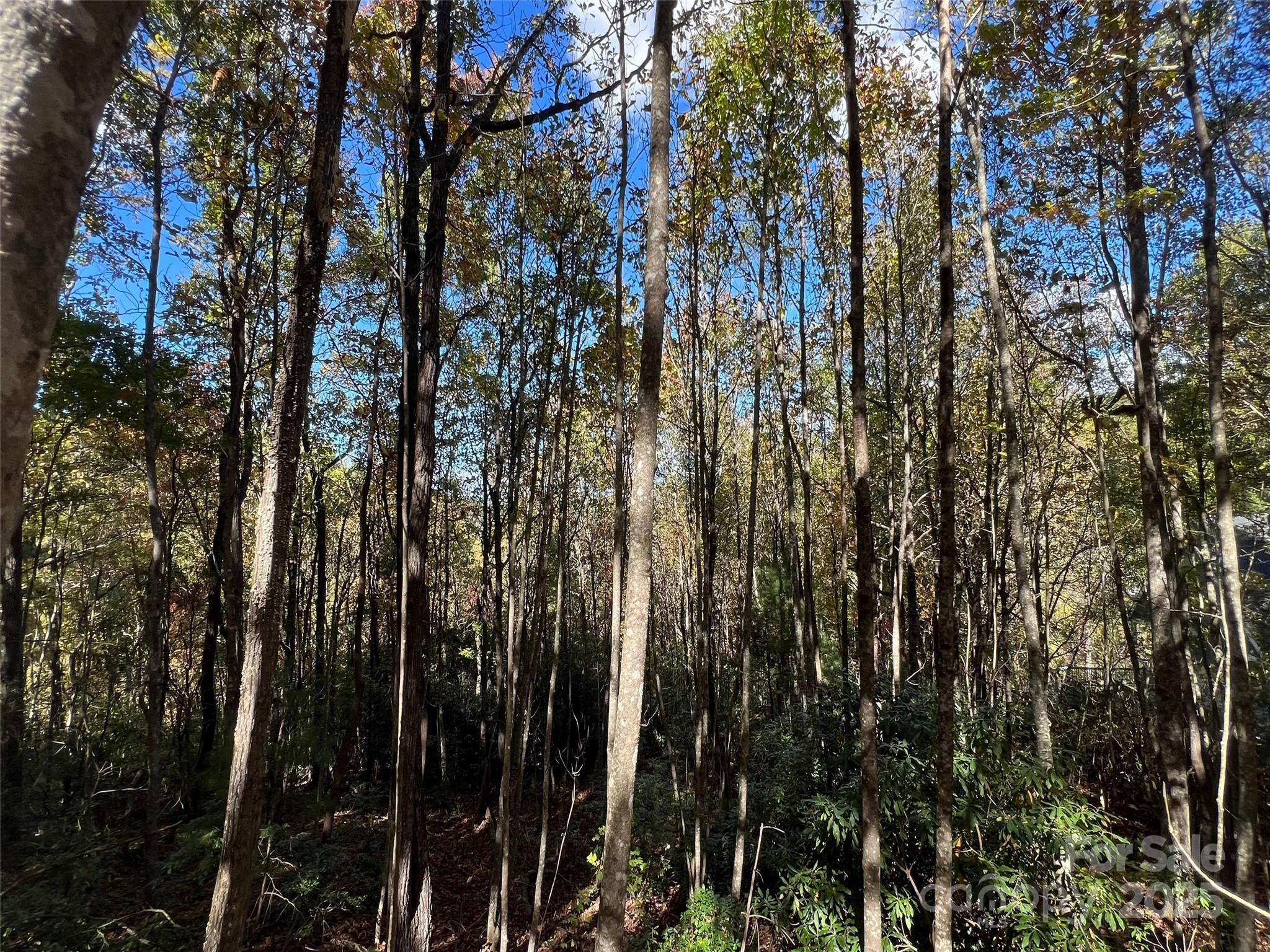 Cliffs Valley North - Land