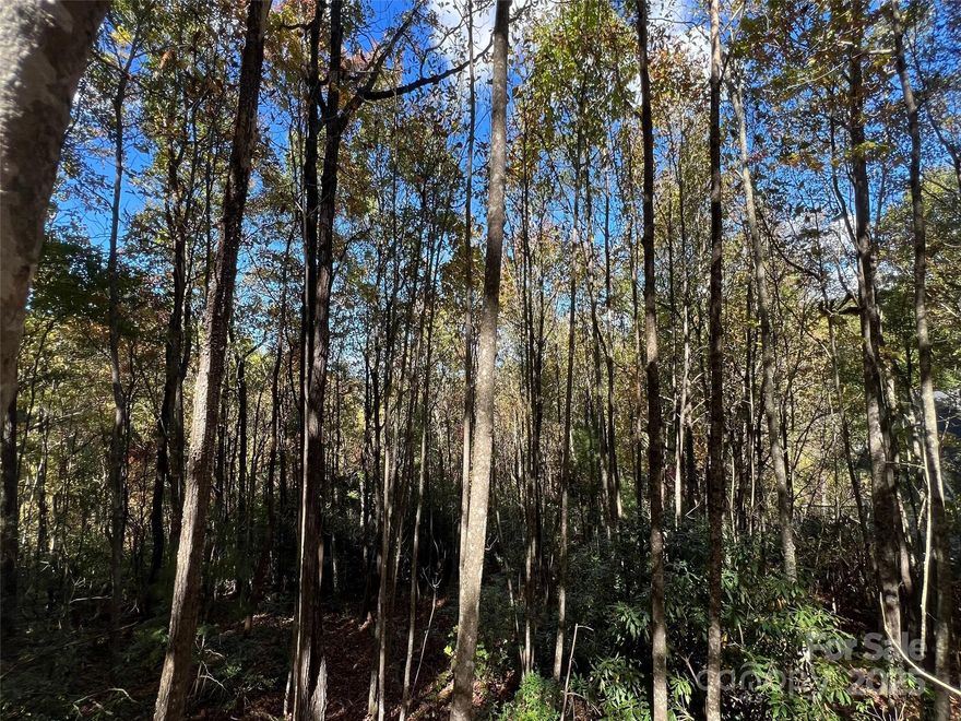 Nestled in the Blue Ridge mountains, minutes away from Hendersonville, NC & Greenville, SC, make yourself home in the comfort and convenience of The Cliffs Valley gated golf and wellness community. Great location in the community, with only a 5 min. drive to golf course+wellness center, within 2 minutes of north gate=easy access in and out of community. The property is located in NC section of Cliffs Valley. The property has a very peaceful, serene setting, with old growth hardwoods, rhododendruns, mountain laurels, and evergreens. It has a gentle slope with it's topography, ideal for atypical mountain home, with walk-out basement. Cliffs membership available for purchase.