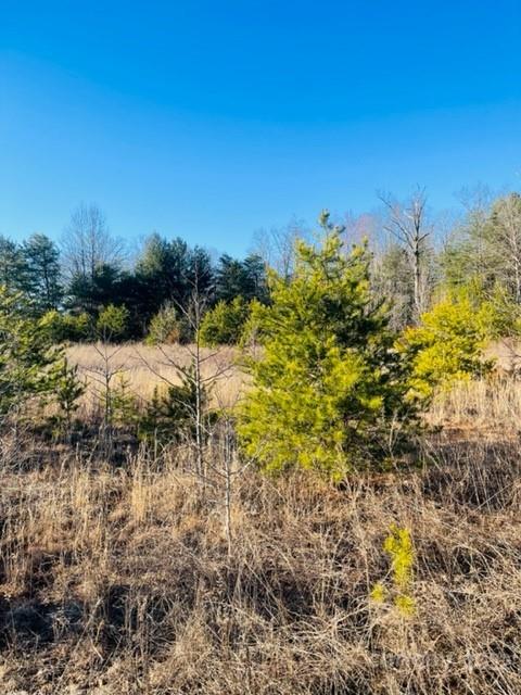 3774 Rhoney Farm Road