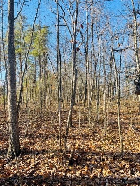 3774 Rhoney Farm Road