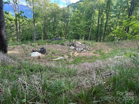 455 Spring Valley Drive 43 and 44 Waynesville NC 28786