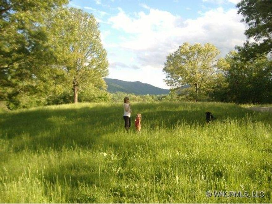PRIME LOCATION AVAILABLE NOW for the First Time in 2 Centuries, 156 acres 15 minutes to downtown Asheville and Biltmore Estate.  Bold Stream - 2 Creeks - Gentle Pasture land in an open valley. Custom brick farmhouse, 2 rustic log cabins, artist garage apartment and a unique home with views of the Blue Ridge Mountains.  The forested perimeter = Privacy and there is pesticide free fertile bottom land.  Underground utilities = unspoiled views!