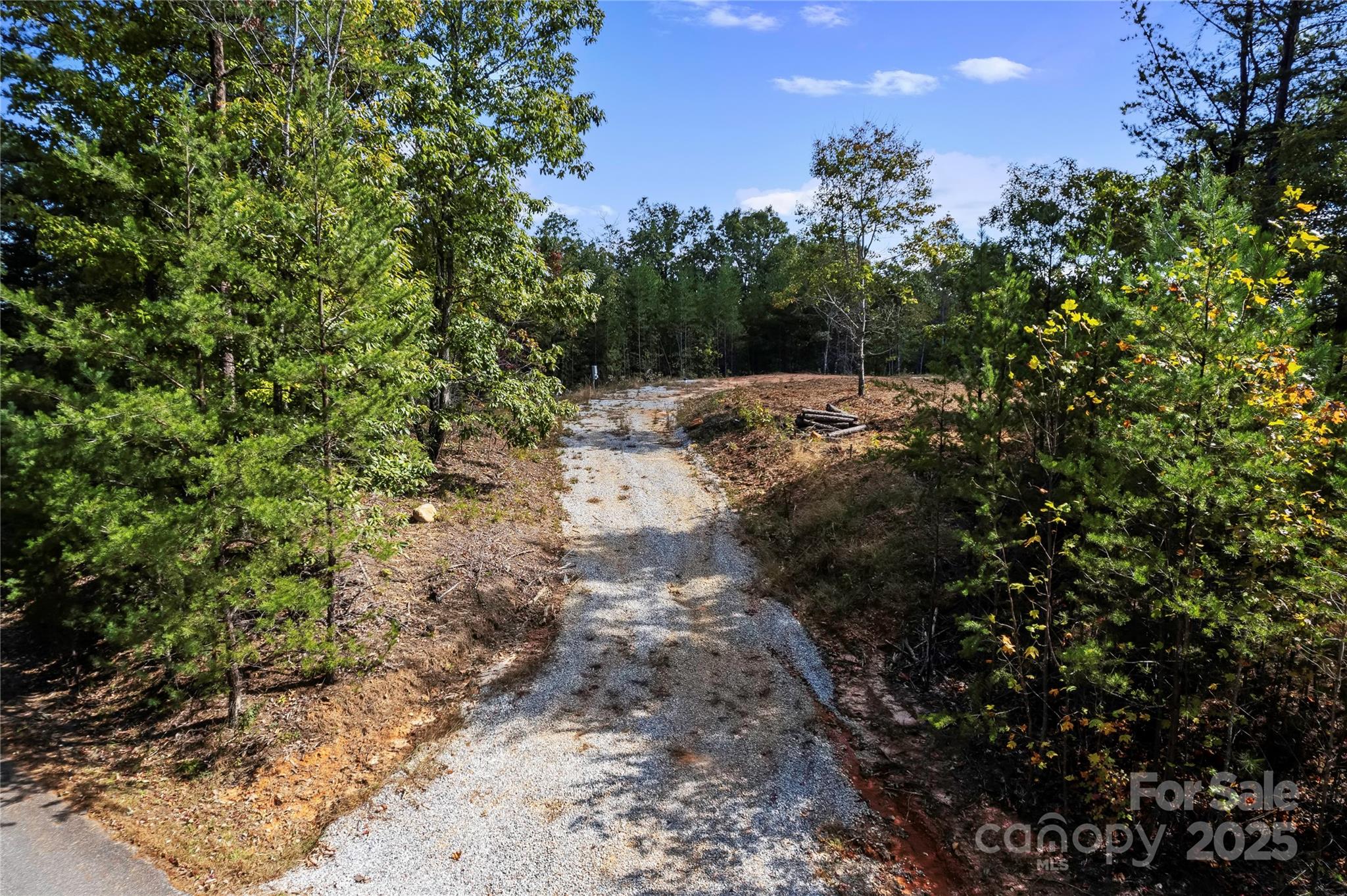 Pisgah Preserve - Land