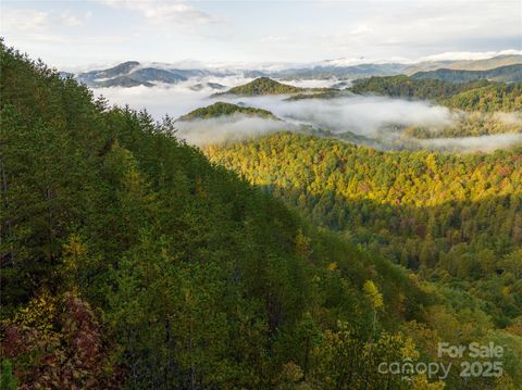 00000 Renfro Road Green Mountain NC 28740