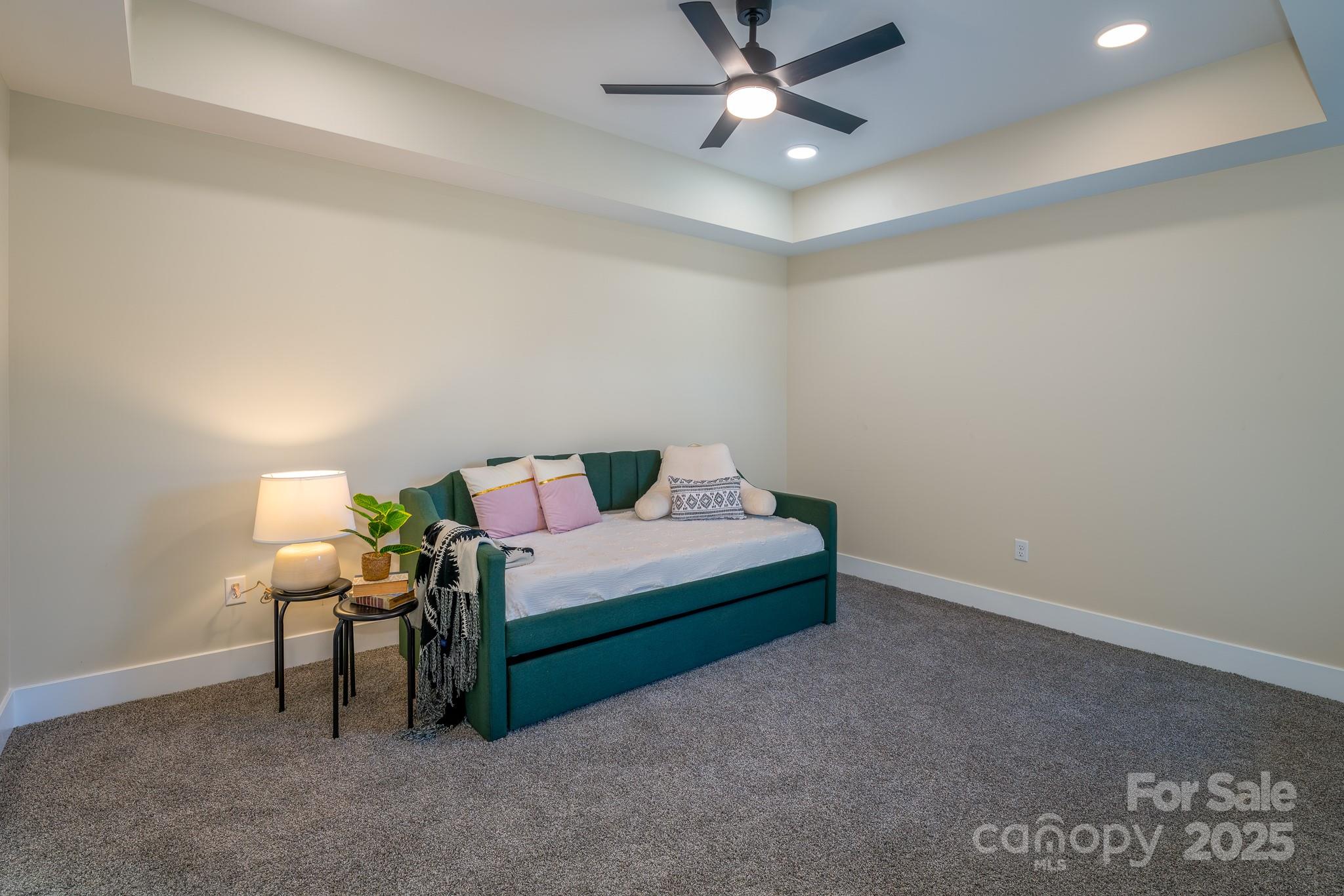 Carver Street Commons - Residential