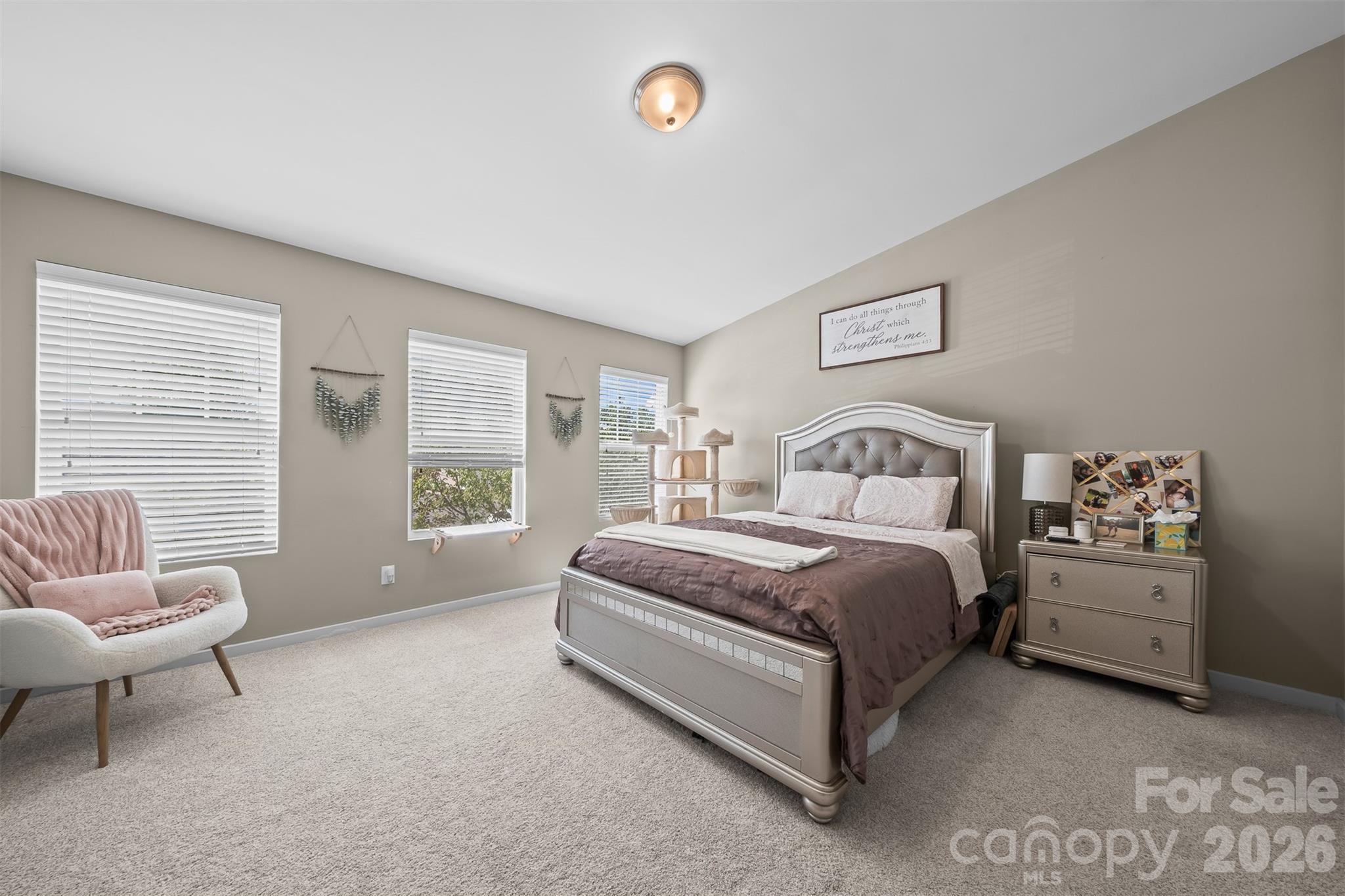 Steele Meadows - Residential