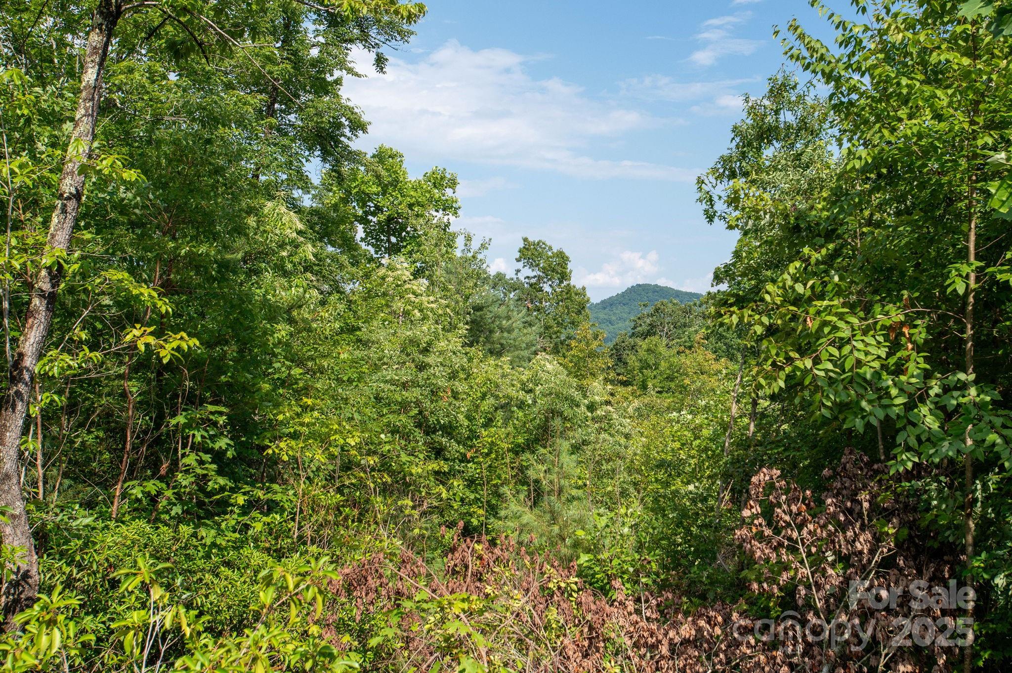 Lot # 6 Masterpiece View Drive 6