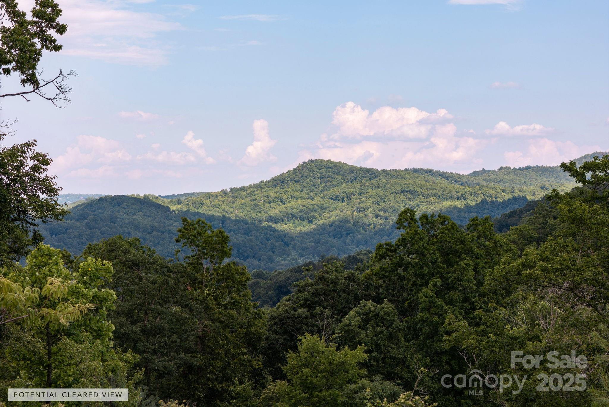 Lot # 6 Masterpiece View Drive 6