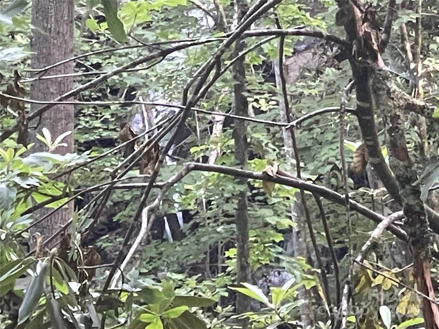 Imagine hearing the beautiful sounds of a bold waterfall off a roaring creek each morning and night, as you watch it pour into Cedar Cliff Lake. This private unrestricted oasis can be yours to build on as you please. The property is densely wooded and sloped. Access from Canada Road or Sweet Birch, a well-maintained private road. Bear Lake and Wolf Lake are also nearby for outdoor water enthusiasts.