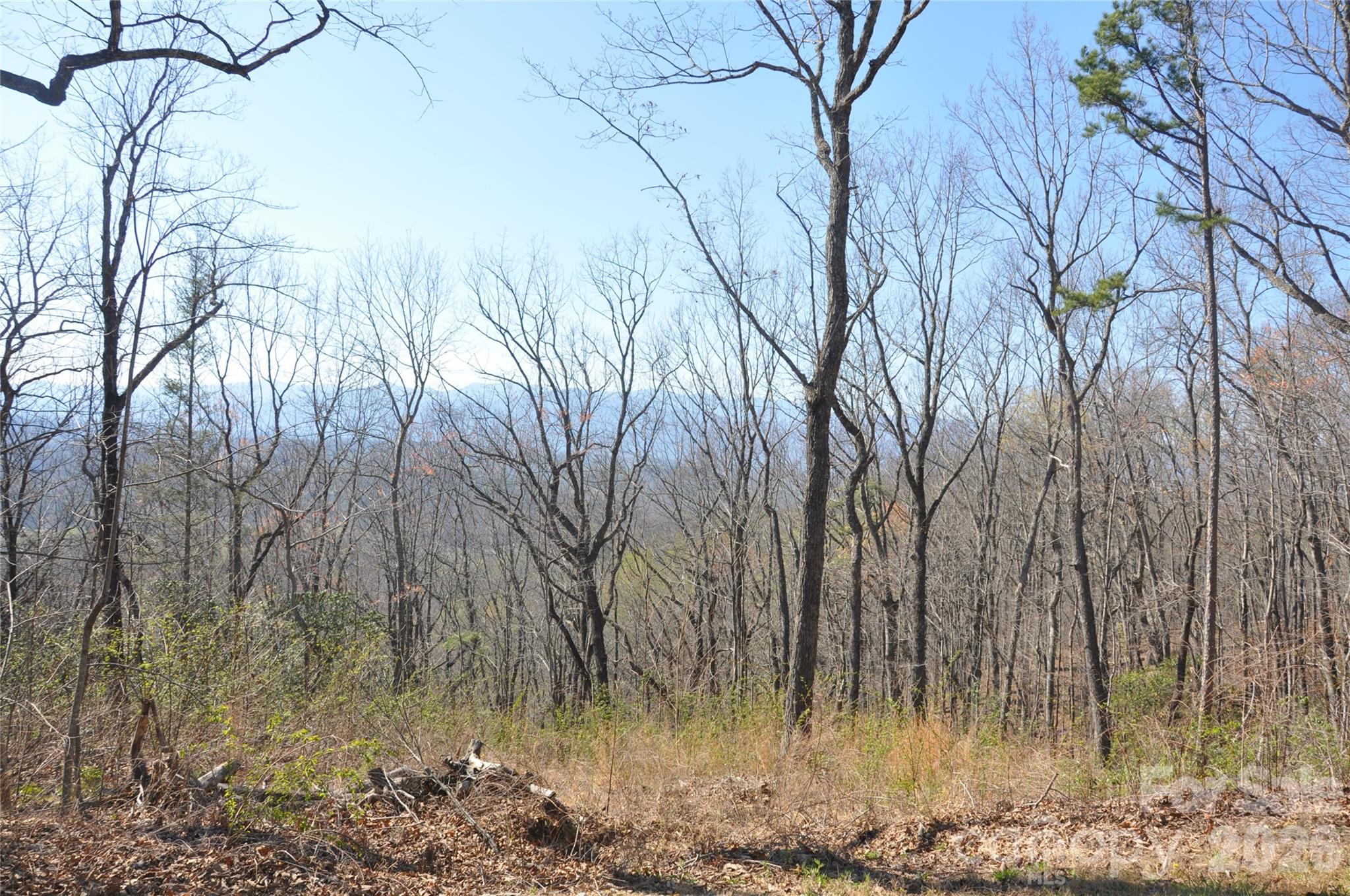 Grants Mountain - Land