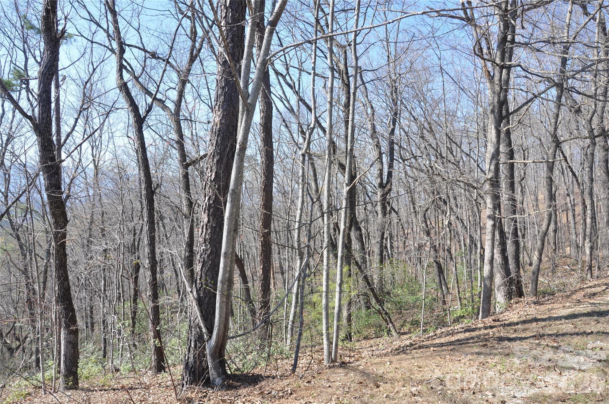 Grants Mountain - Land