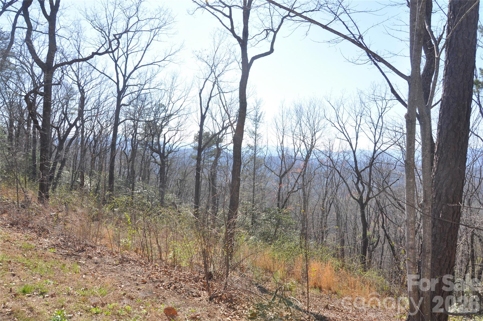 Grants Mountain - Land