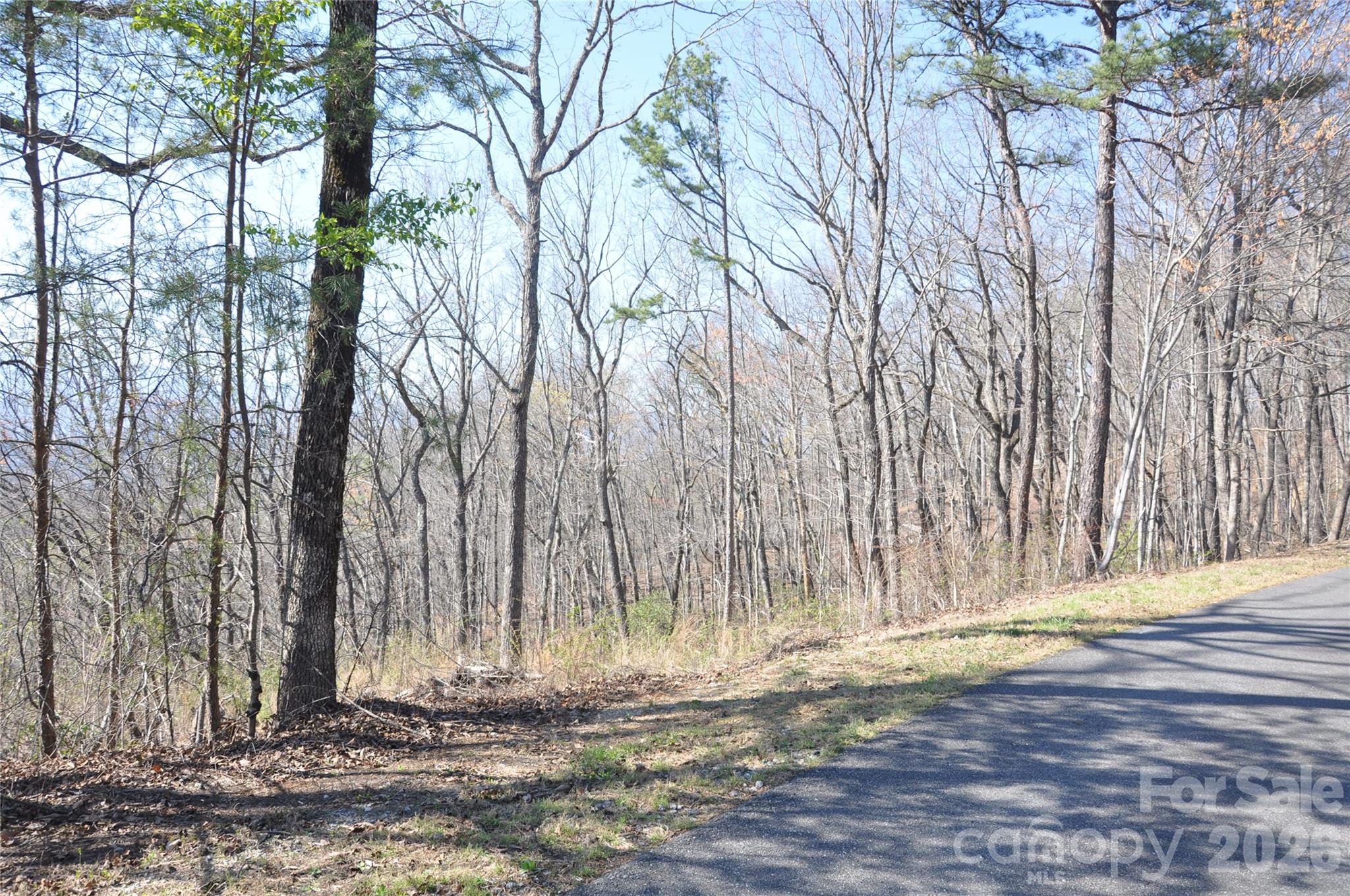 Grants Mountain - Land