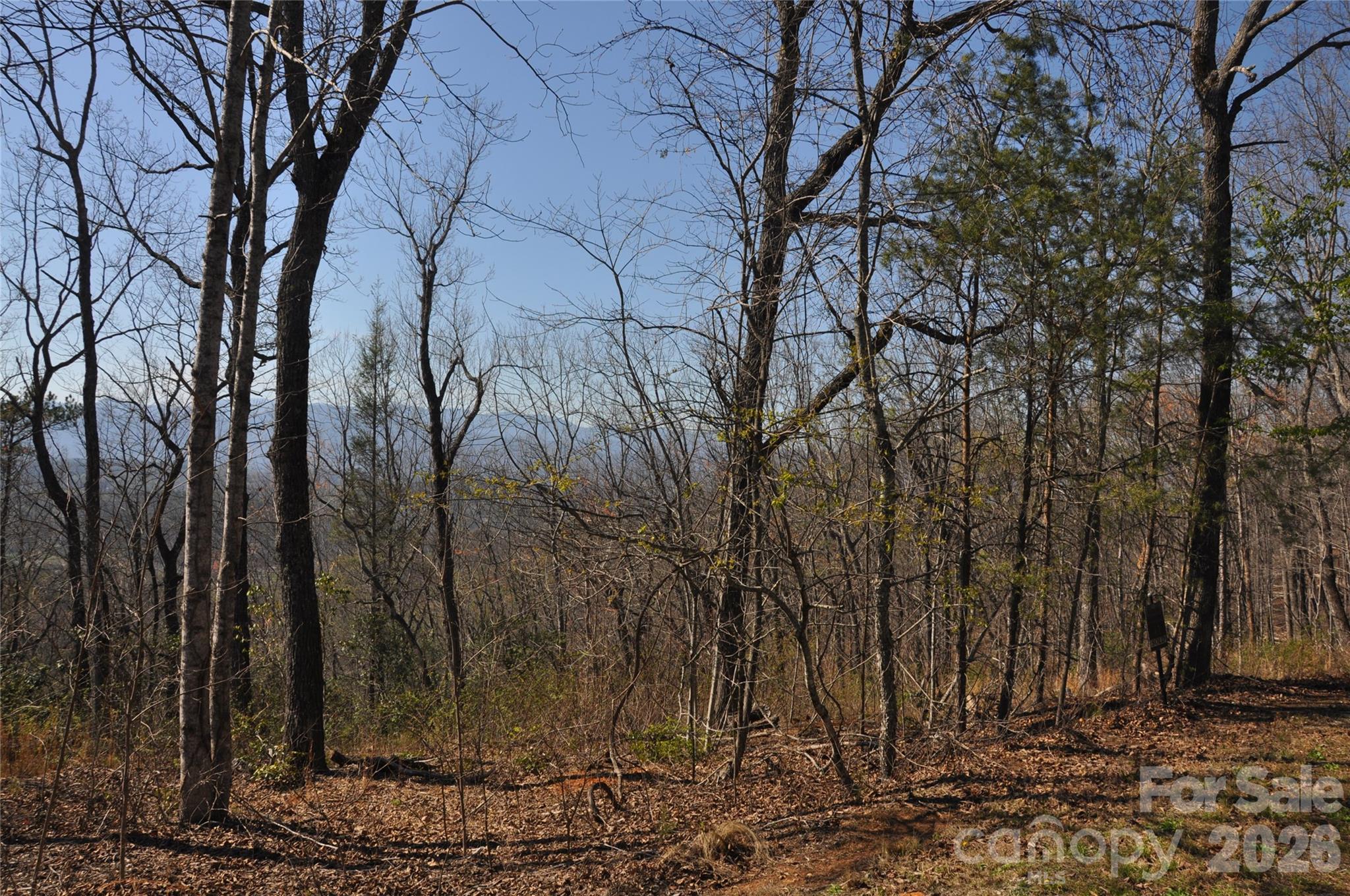 Grants Mountain - Land