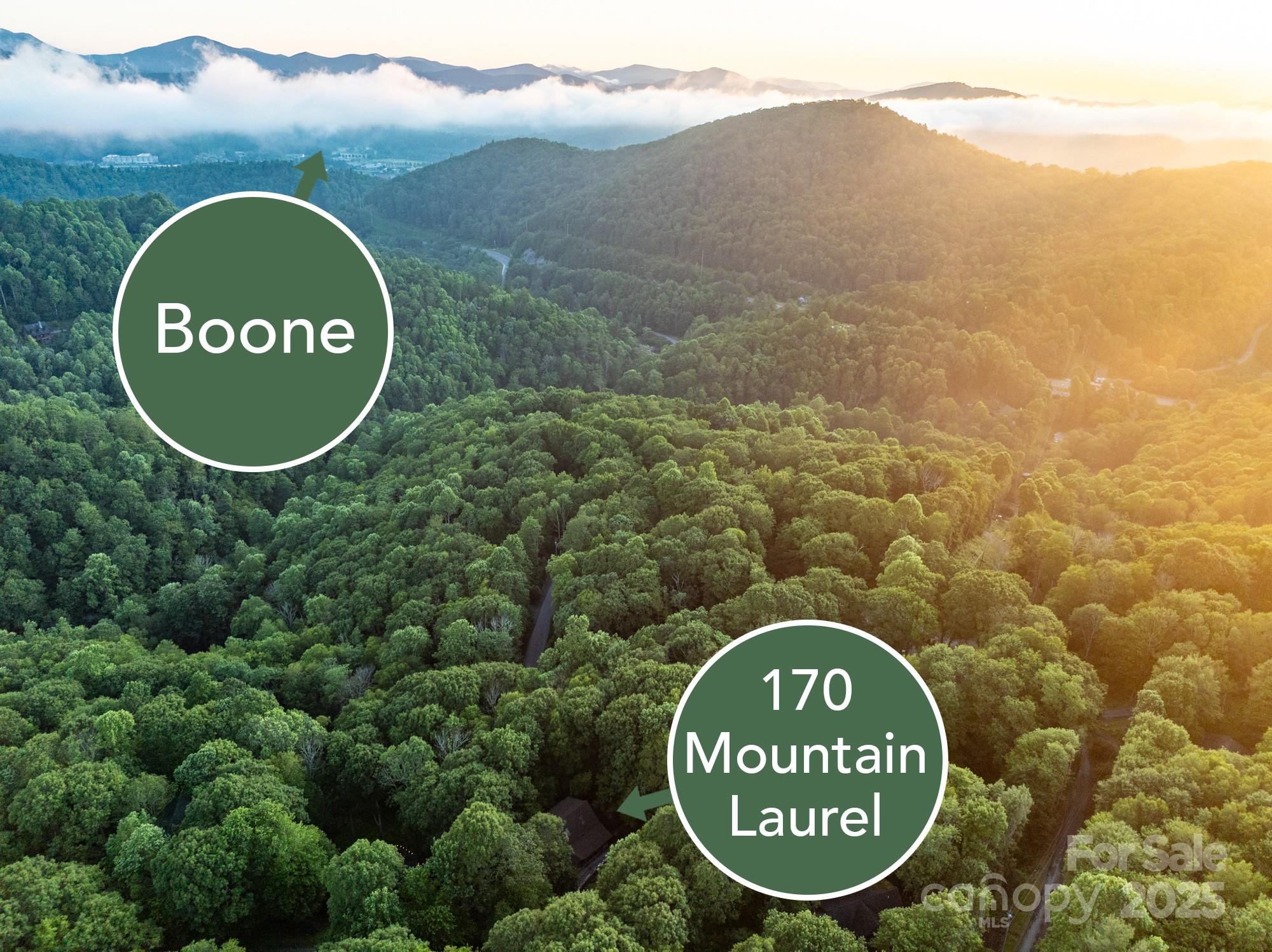 170 Mountain Laurel Lane