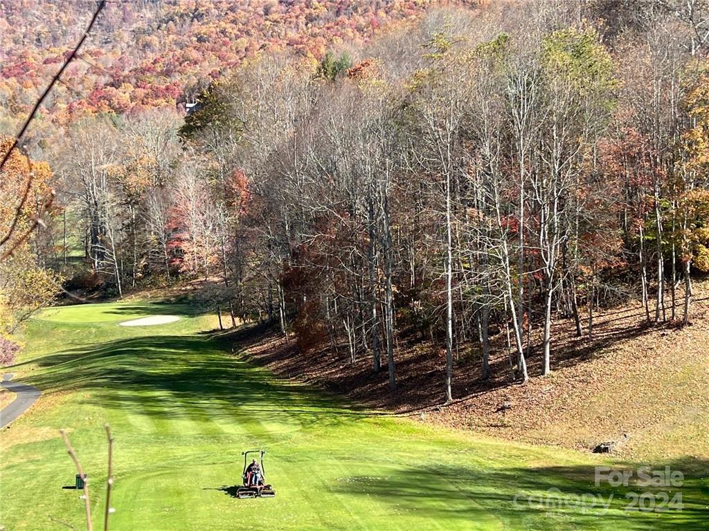 Springdale Estates - Land