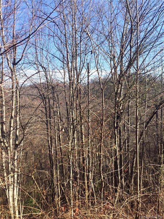 Catawba Falls Preserve - Land