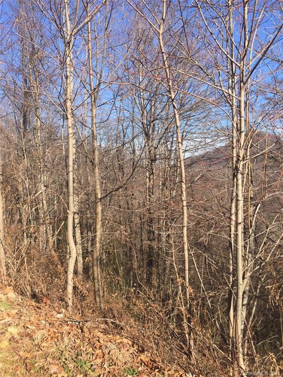 Catawba Falls Preserve - Land