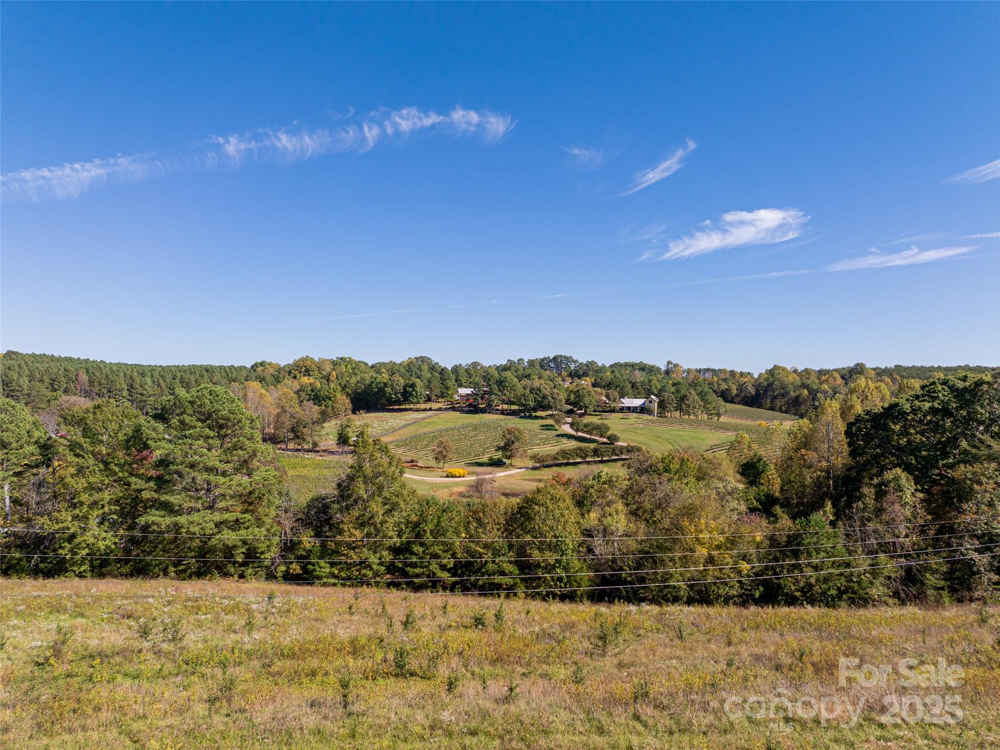 Tryon Equestrian Farms - Land