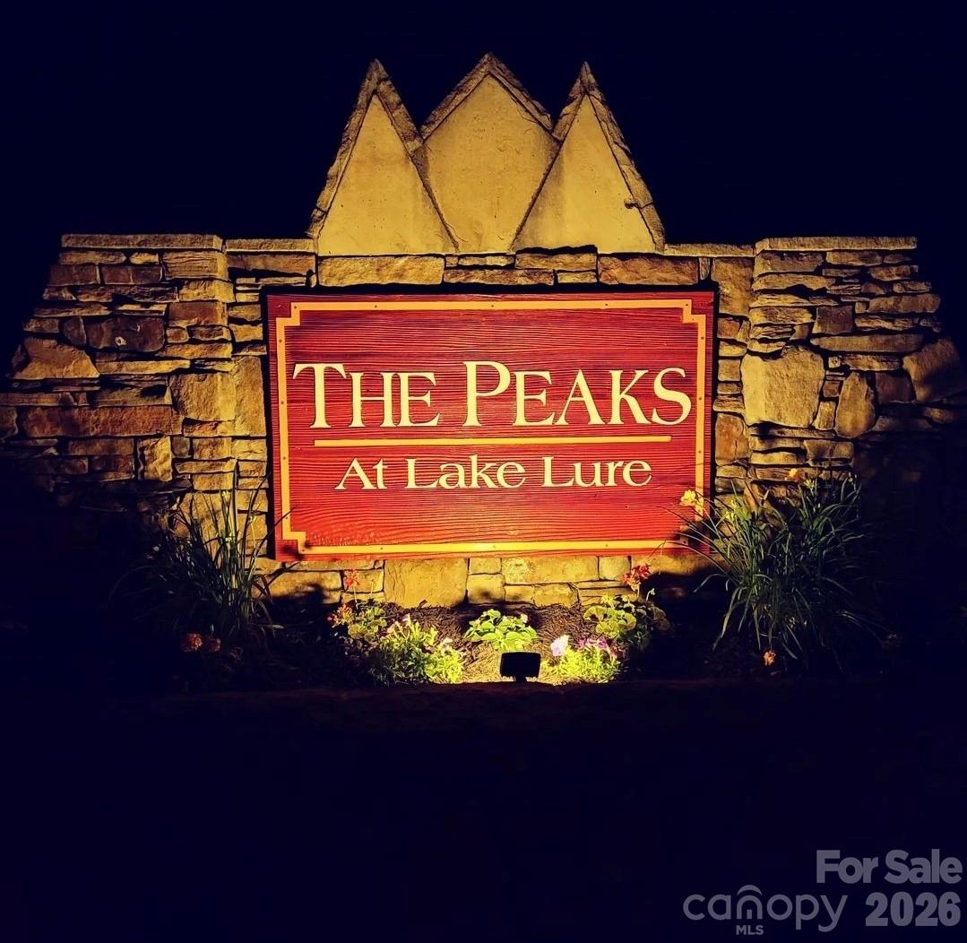 301 Peaks Drive