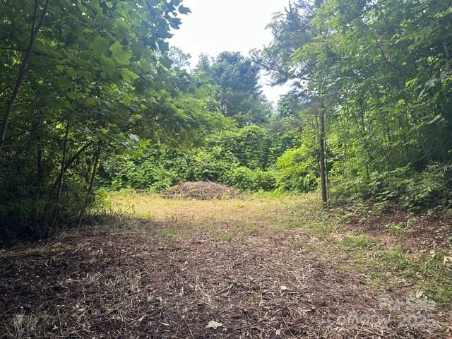 0 Cope Creek Road