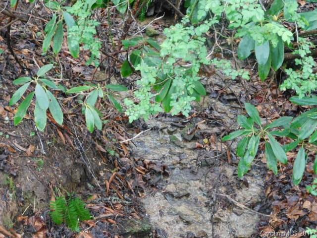 Sylvan Cove - Residential