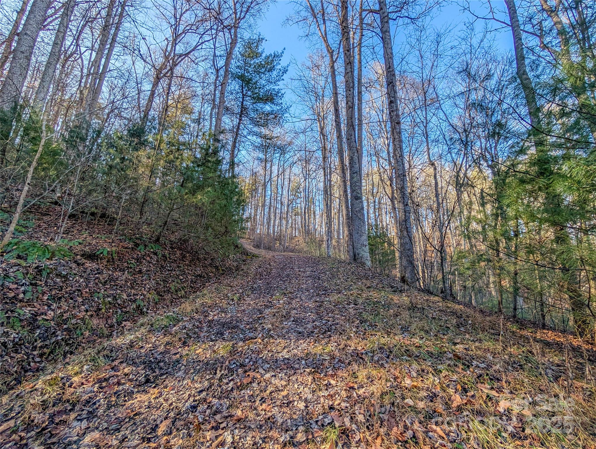 000 Bear Mountain Ridge