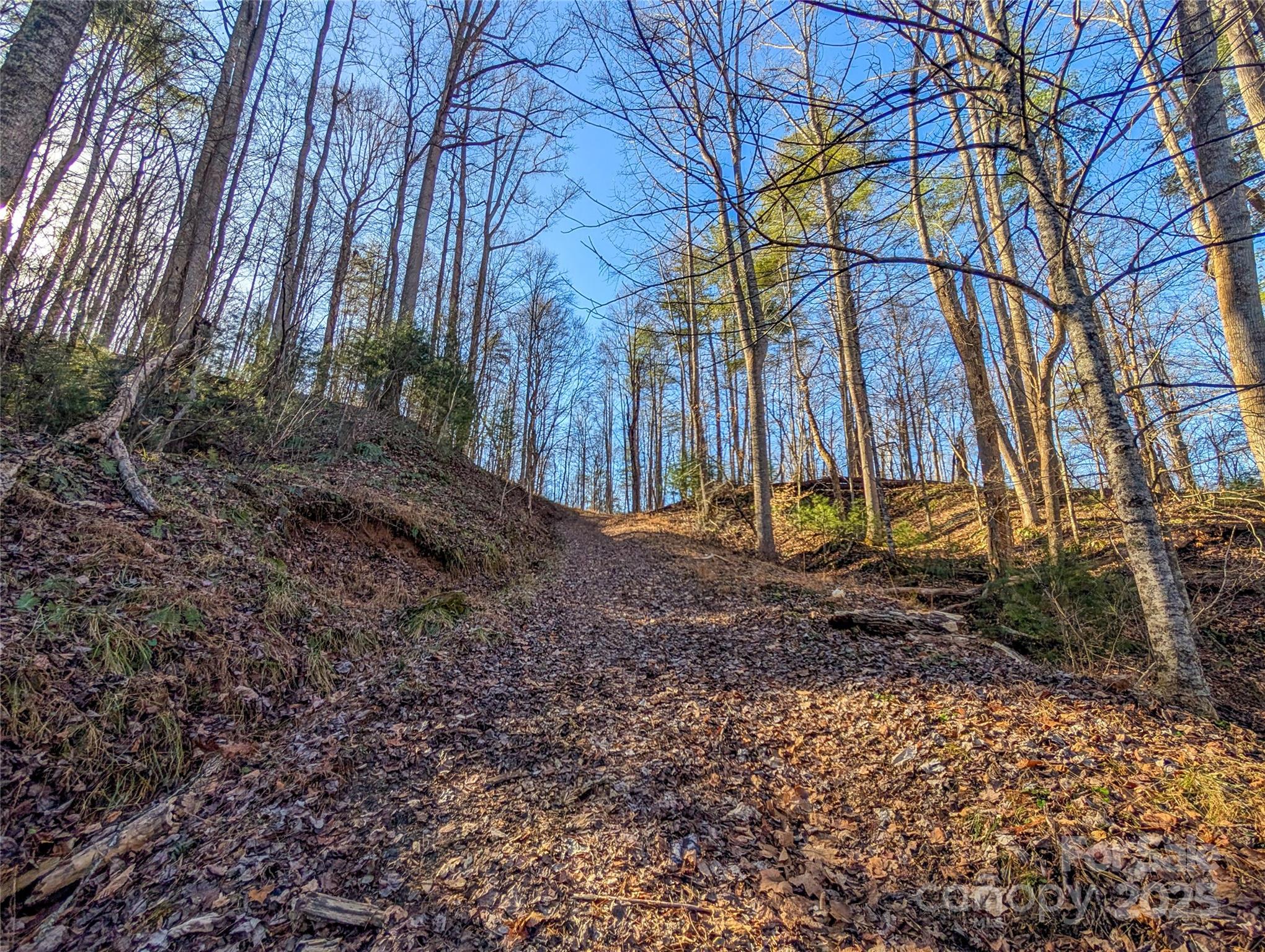 000 Bear Mountain Ridge