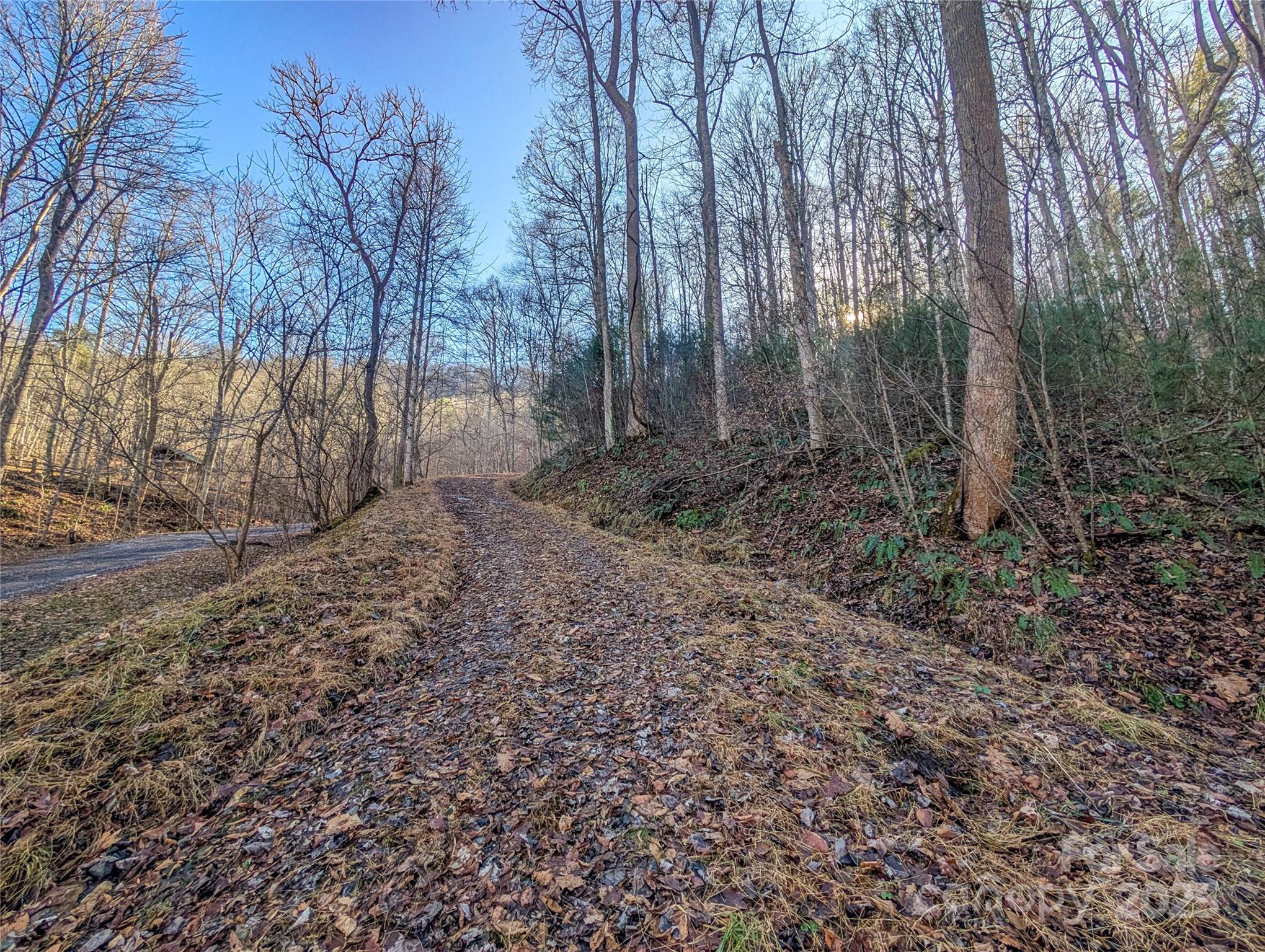 000 Bear Mountain Ridge