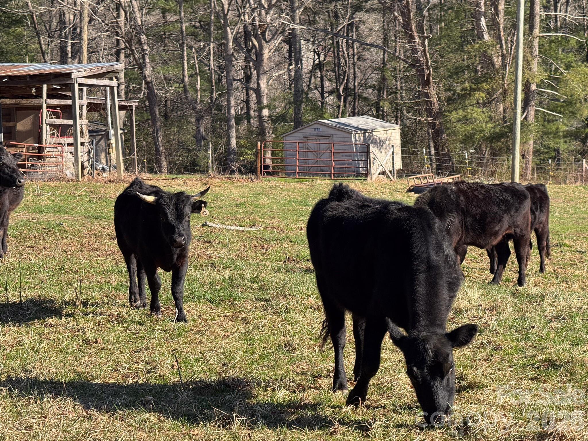 Sequoyah Hills - Residential