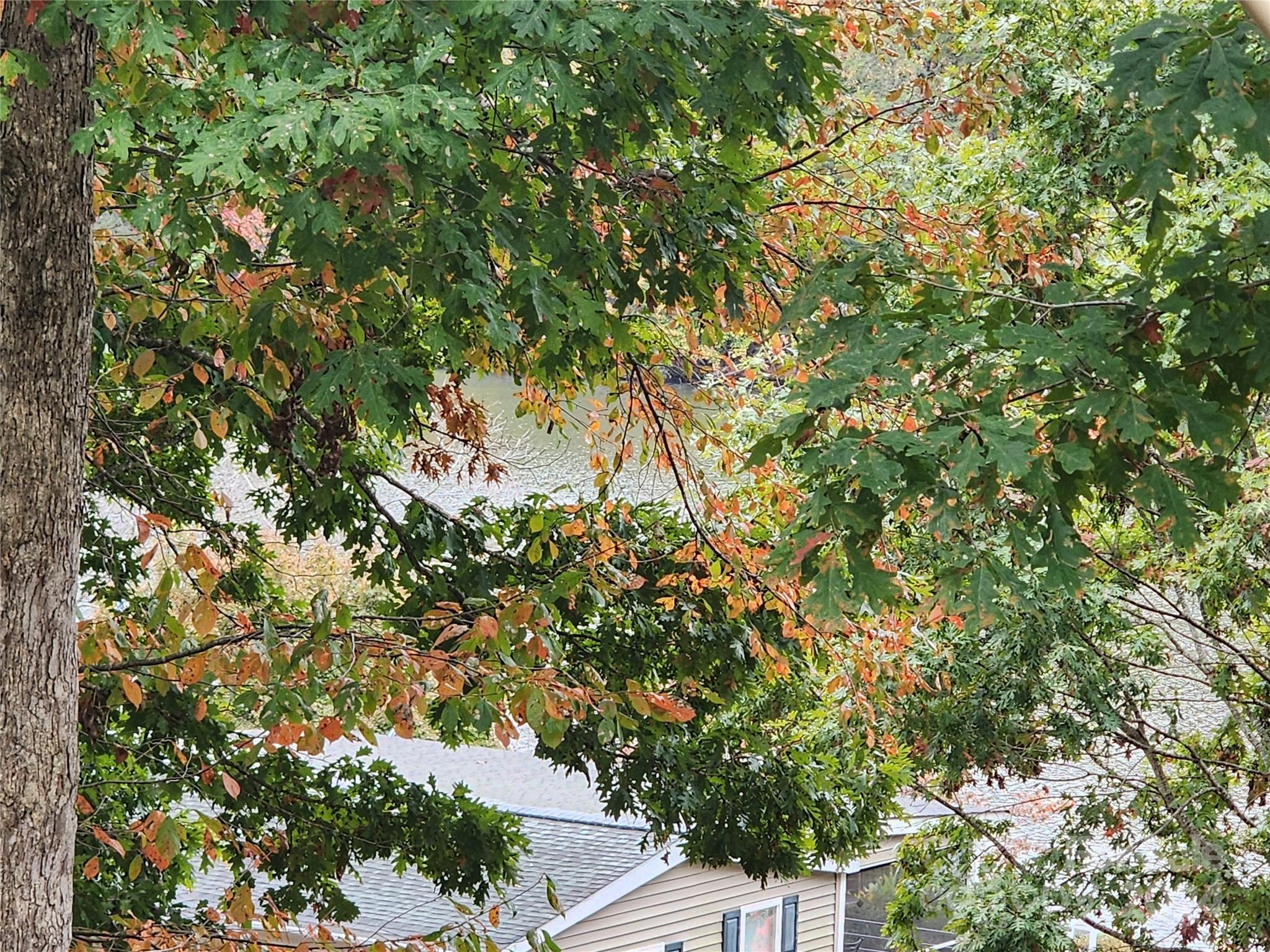 Badin Shores Resort - Residential