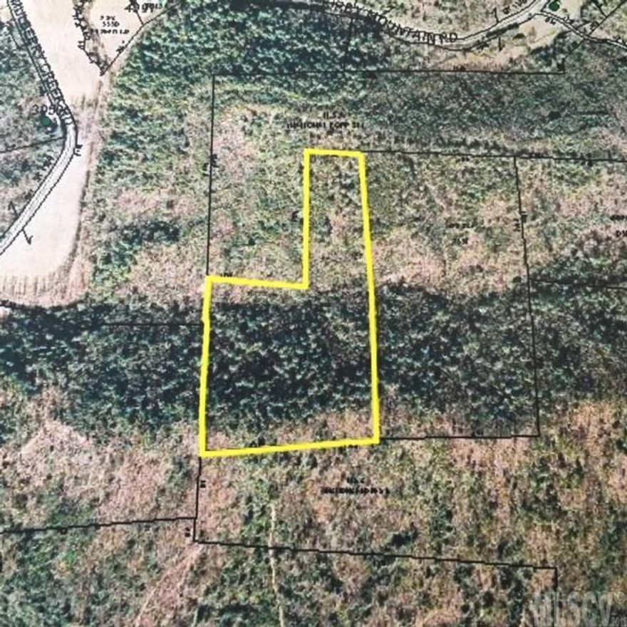 Vacant Timber land , property has no recorded Right of way , Joins the National Forest