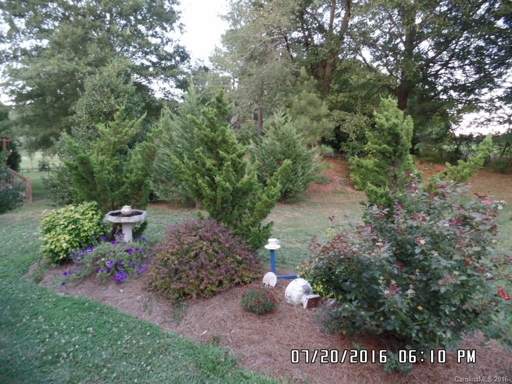 Grey Fox Forest - Residential