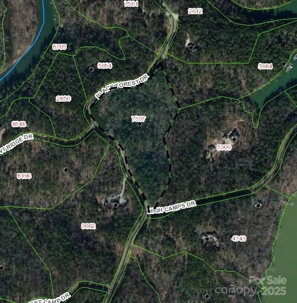 LOT 46 Black Forest Drive