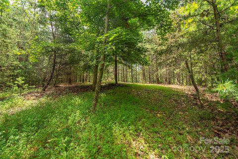 LOT 46 Black Forest Drive Marion NC 28752