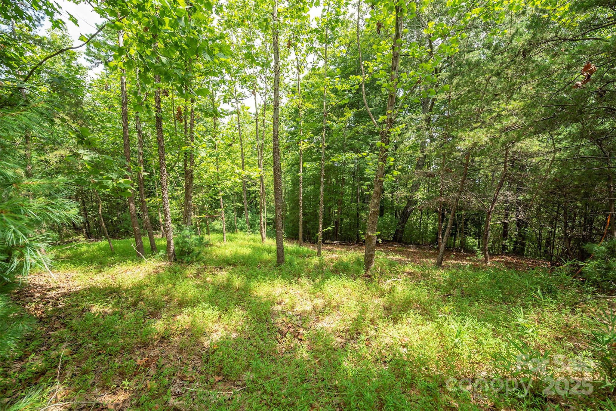 LOT 46 Black Forest Drive