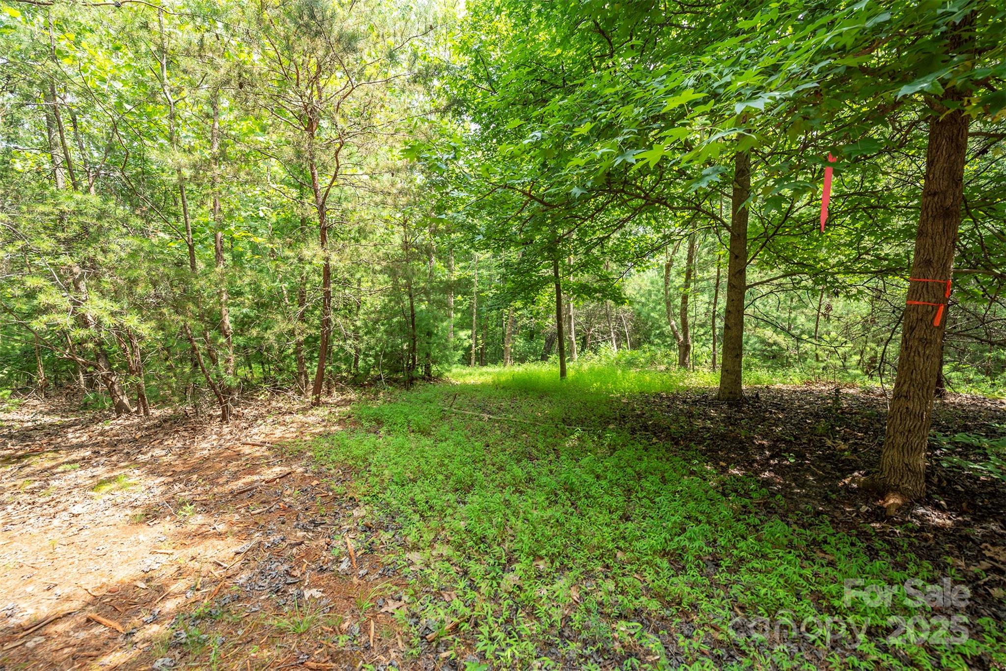 LOT 46 Black Forest Drive