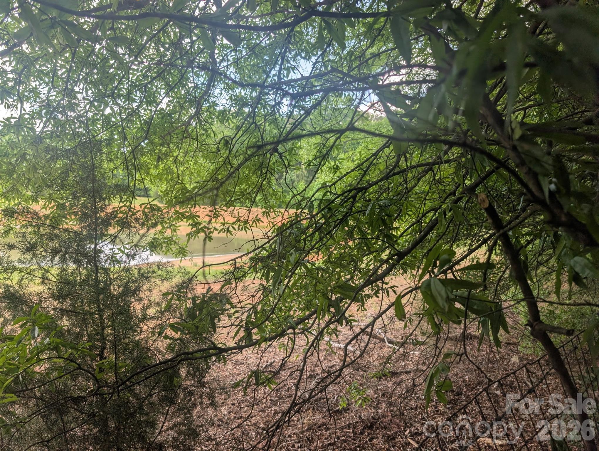 1.29 Acres 320 W Red Cross Road