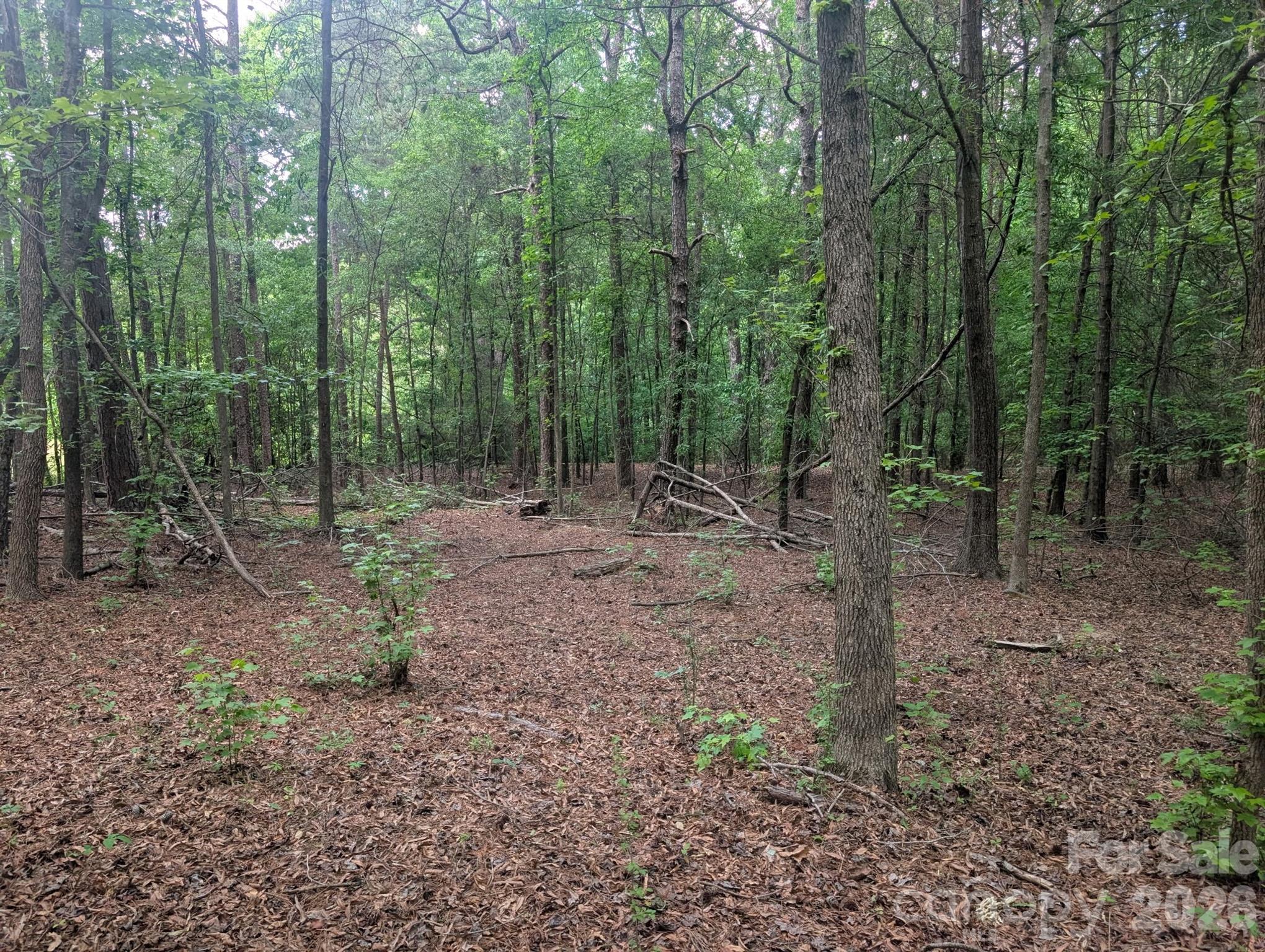 1.29 Acres 320 W Red Cross Road