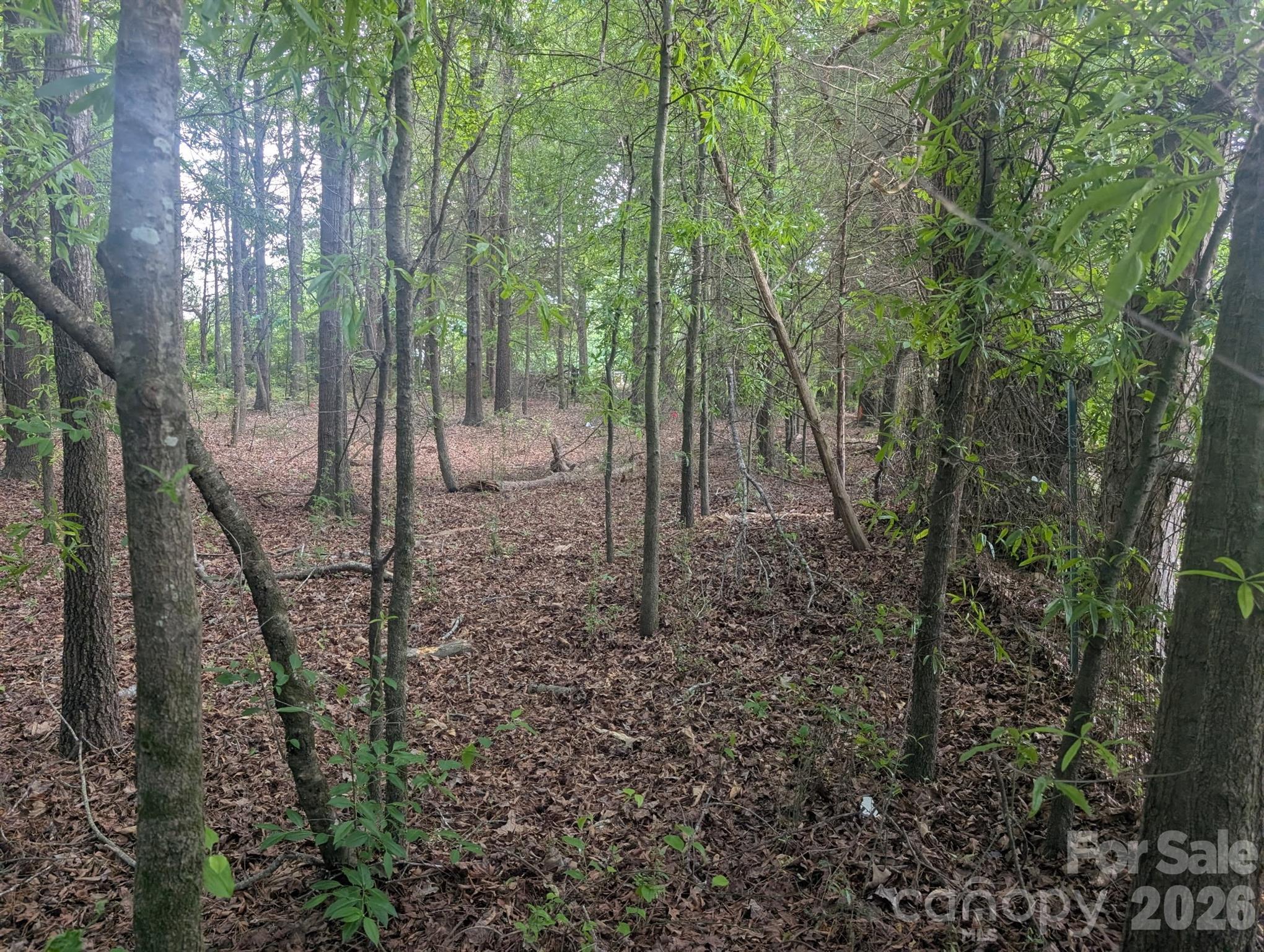 1.29 Acres 320 W Red Cross Road