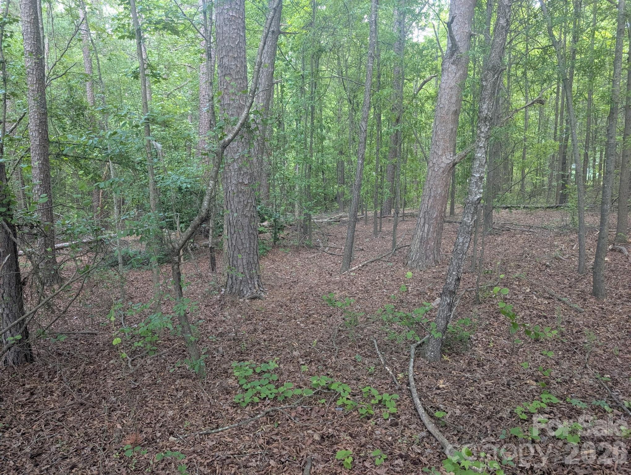 1.29 Acres 320 W Red Cross Road