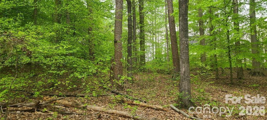 Sunset Pointe - Land